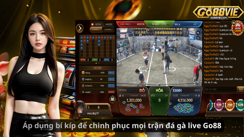 Áp dụng bí kíp để chinh phục mọi trận đá gà live Go88