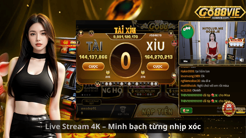 Live Stream 4K – Minh bạch từng nhịp xóc